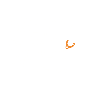 HollandÖse